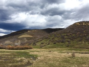 Land reclamation efforts in progress above West Elk Mine